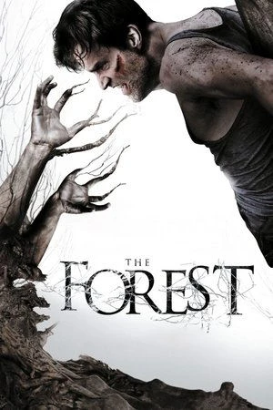  The Forest affiche 