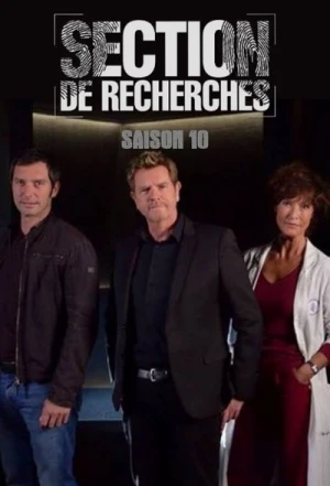 Section de recherches - Saison 10 affiche 